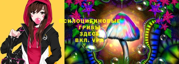 ALPHA-PVP Армянск
