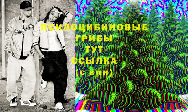 спиды Арсеньев