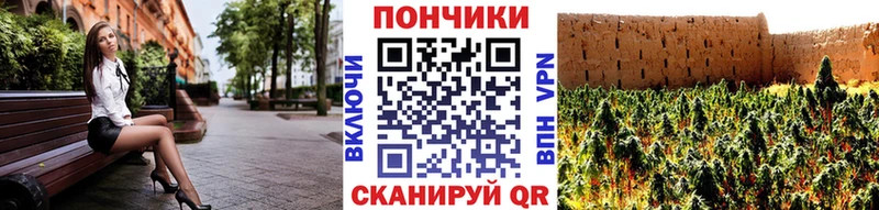 MEGA ССЫЛКА  цены   Ахтубинск  Бошки Шишки гибрид 